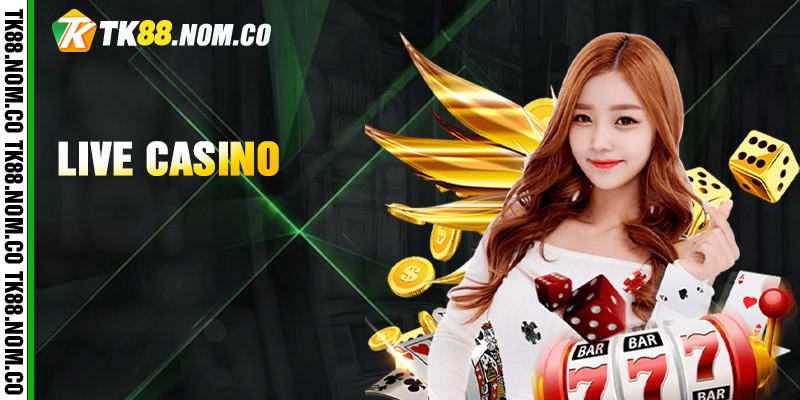 Live Casino Live Casino