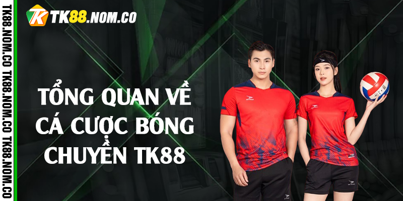 Tổng quan về cá cược bóng chuyền Tk88 