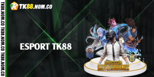 esport tk88