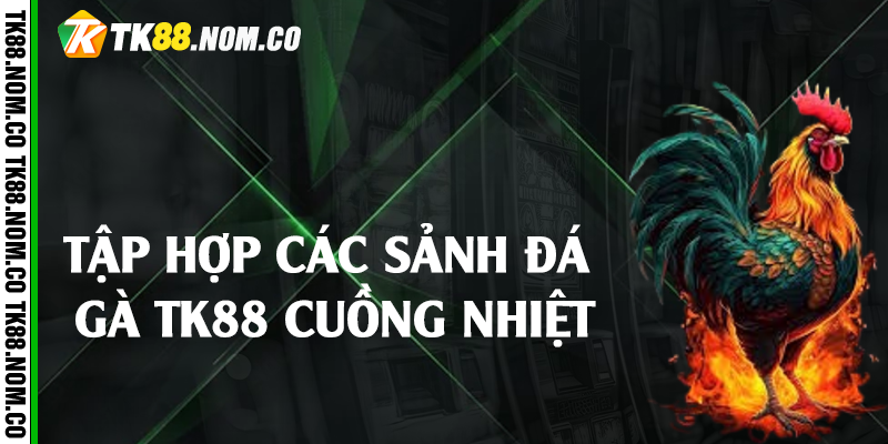 Tập hợp các sảnh đá gà Tk88 cuồng nhiệt